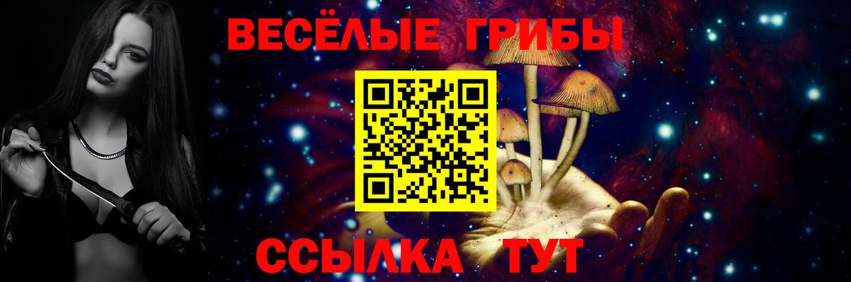 Ханты-Мансийск  купить наркотики цена  Вход с VPN  Псилоцибиновые грибы мицелий 